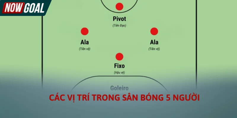 Các vị trí trong sân bóng 5 người cần biết Các vị trí trong sân bóng 5 người cần biết