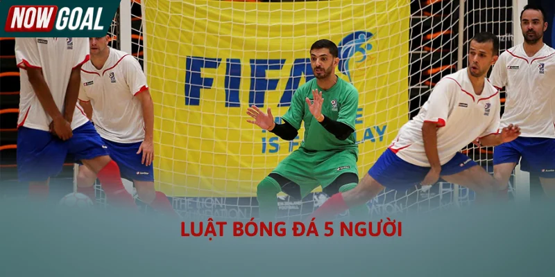 Luật bóng đá 5 người cần biết cập nhật 2026 Luật bóng đá 5 người cần biết cập nhật 2026